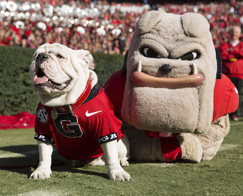 Hairy Dawg & Uga